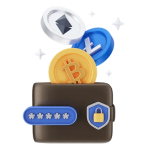 Crypto Wallet Access