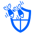 Distributed Denial of Service (DDoS) Protection