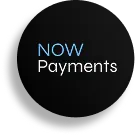 nowpayments-clone