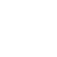 Enterprise-Grade Security