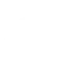 More Than a Platform: A Business Model