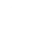 Tailored to Your Business Needs