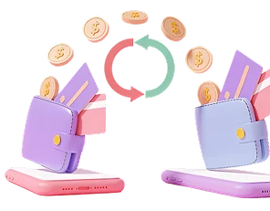 Multi-Wallet Management